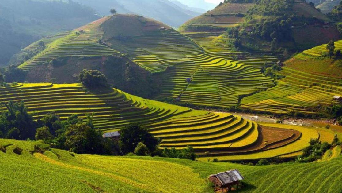 Nhat Sapa Hostel Exteriör bild